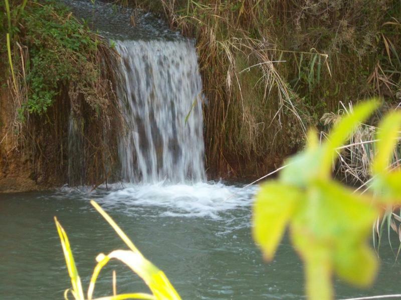 Casa Rural Parajes Del Jucar Casas de Benitez ภายนอก รูปภาพ