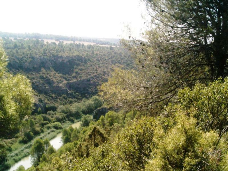 Casa Rural Parajes Del Jucar Casas de Benitez ภายนอก รูปภาพ