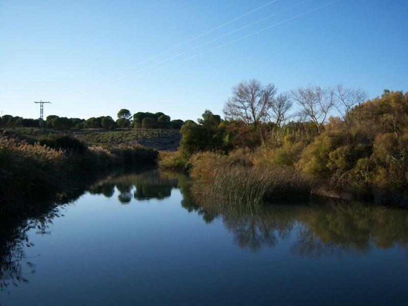 Casa Rural Parajes Del Jucar Casas de Benitez ภายนอก รูปภาพ