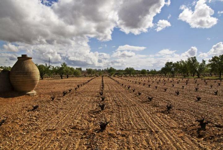 Casa Rural Parajes Del Jucar Casas de Benitez ภายนอก รูปภาพ