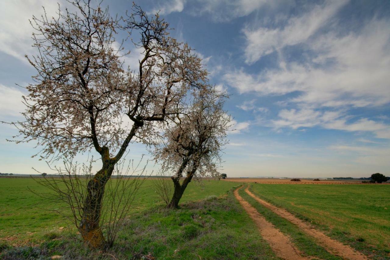 Casa Rural Parajes Del Jucar Casas de Benitez ภายนอก รูปภาพ