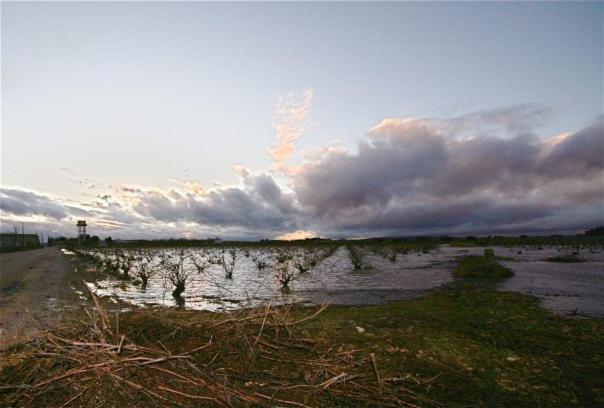 Casa Rural Parajes Del Jucar Casas de Benitez ภายนอก รูปภาพ