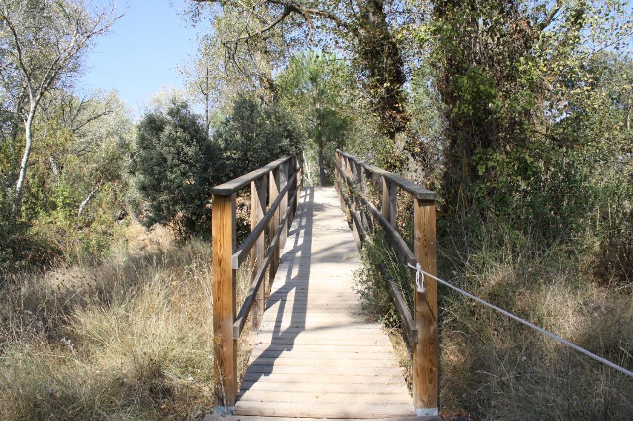 Casa Rural Parajes Del Jucar Casas de Benitez ภายนอก รูปภาพ